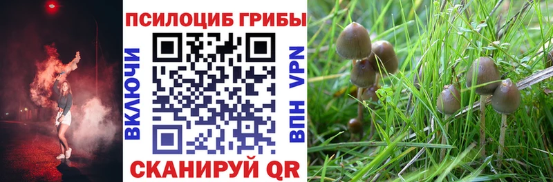 купить закладку  Балахна  Псилоцибиновые грибы ЛСД 